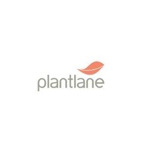 Plantlane Retail Private Limited