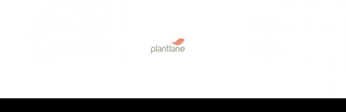 Plantlane Retail Private Limited